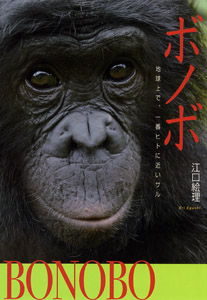 ボノボ