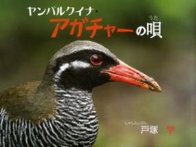 ヤンバルクイナ・アガチャーの唄