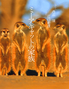 ミーアキャットの家族
