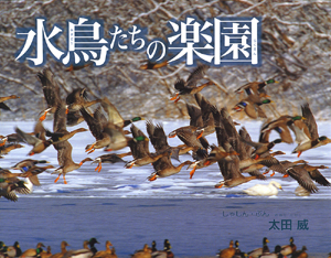 水鳥たちの楽園