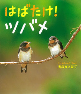 はばたけ！ツバメ