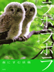 ラポラポラ　森にすむ妖精