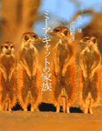ミーアキャットの家族