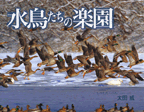 水鳥たちの楽園