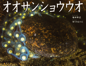 オオサンショウウオ